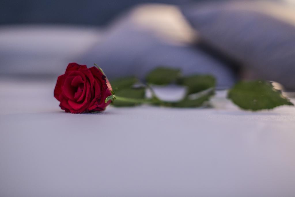 Orlando B&B Posto Rosso Pokoj fotografie